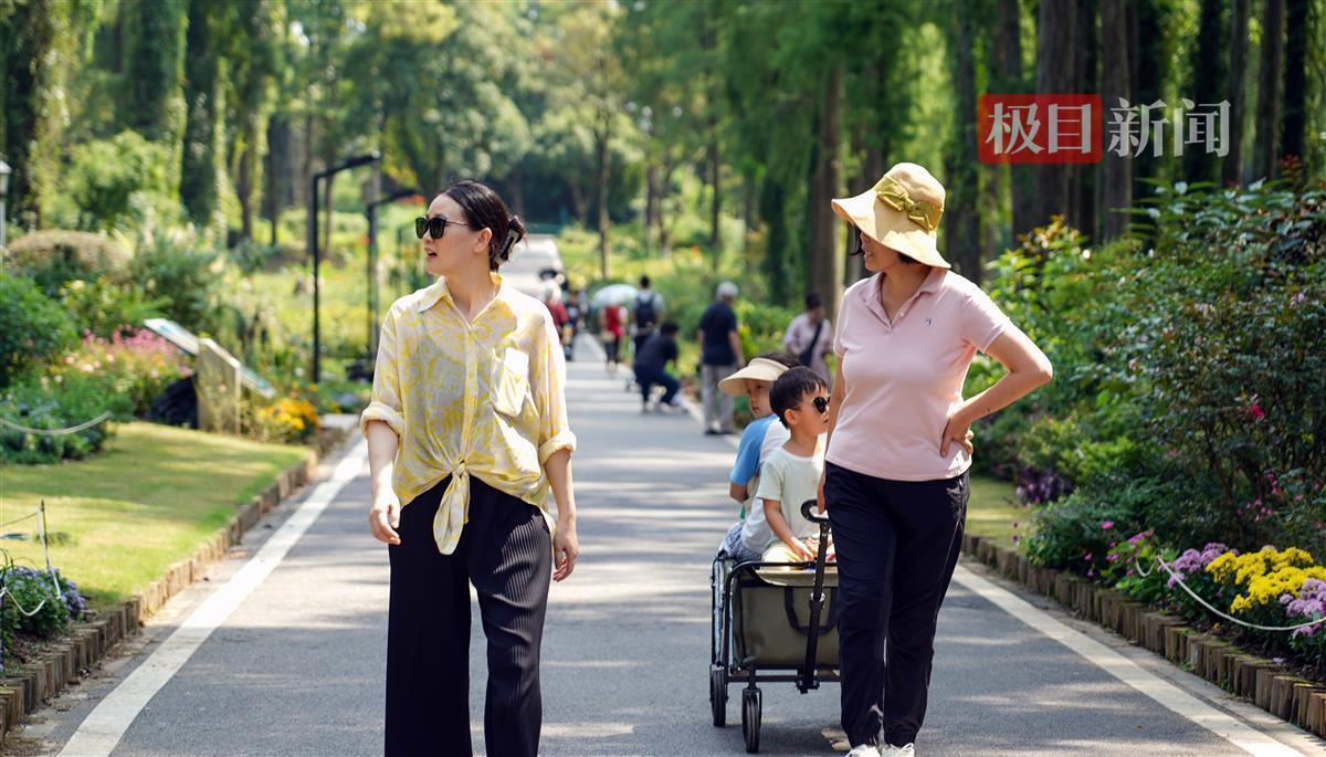 云顶国际登录官网|首页